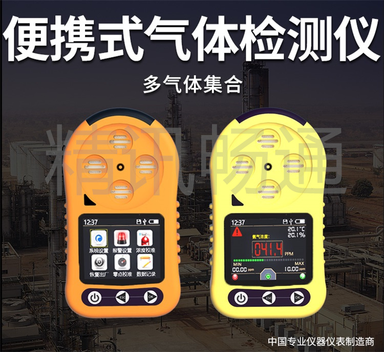 便携式气体监测仪