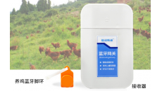 蓝牙养鸡脚环