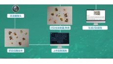 标靶虫情监测系统