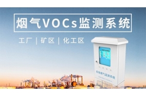 在线Vocs烟气监测系统
