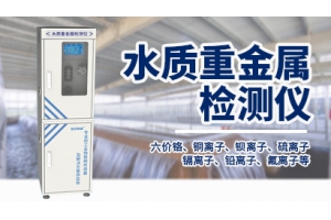水质重金属监测仪/六价铬/硝酸根离子